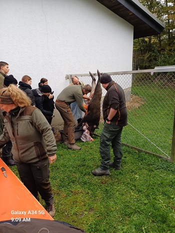 Gelüngetag Jagdschule NOK