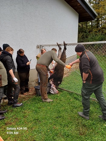 Gelüngetag Jagdschule NOK