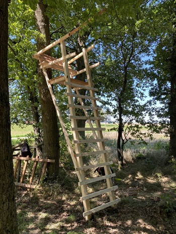 Hochsitzbau der Jagdschule im Kurs 2025