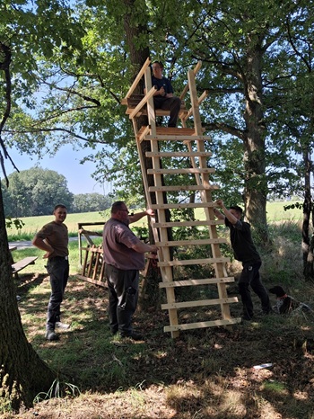 Hochsitzbau der Jagdschule im Kurs 2025