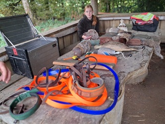 Hundetag 2025 der Jagdschule NOK