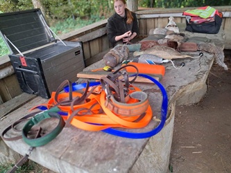 Hundetag 2025 der Jagdschule NOK