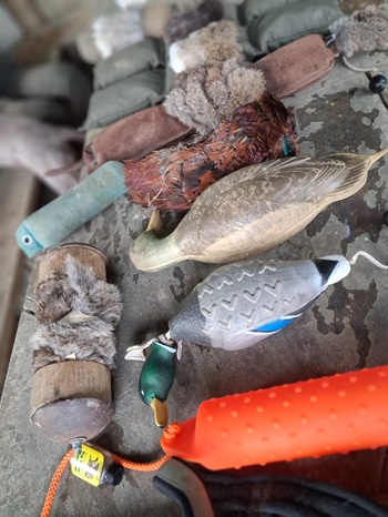 Hundetag 2025 der Jagdschule NOK