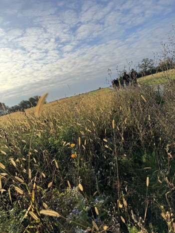 Reviergang Jagdscheinkurs 2025