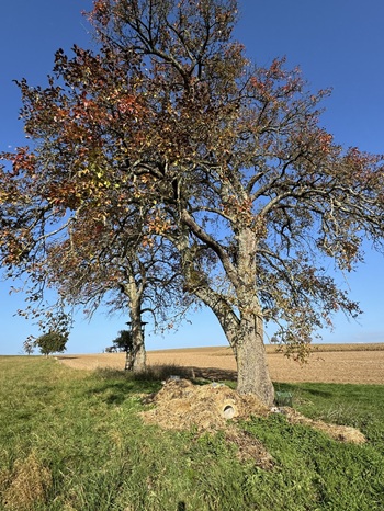 Reviergang Jagdscheinkurs 2025