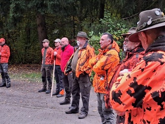 Treib- Drückjagd 2025 Jagdschule NOK