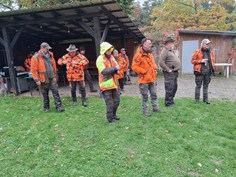 Treib- Drückjagd 2025 Jagdschule NOK