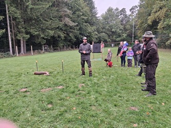 Treib- Drückjagd 2025 Jagdschule NOK