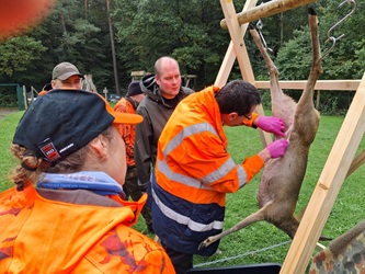 Treib- Drückjagd 2025 Jagdschule NOK