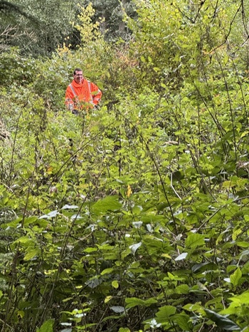 Treib- Drückjagd 2025 Jagdschule NOK