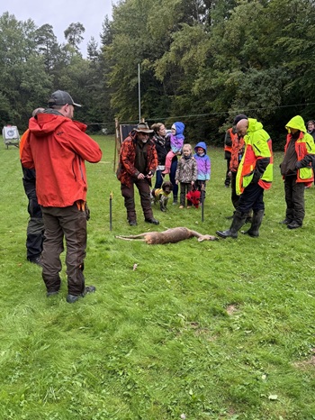 Treib- Drückjagd 2025 Jagdschule NOK