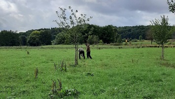 vorstellung-jagdhunde