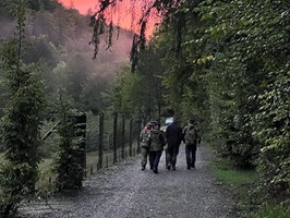 gang-zum-wildgehege